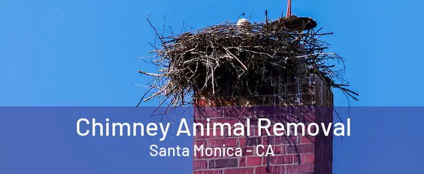 Chimney Animal Removal Santa Monica - CA