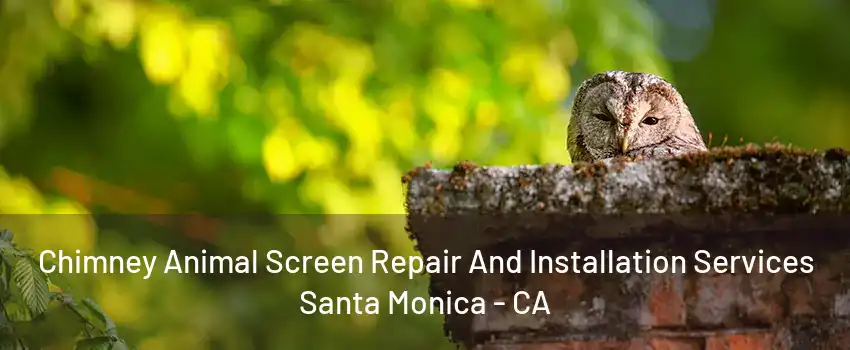 Chimney Animal Screen Repair And Installation Services Santa Monica - CA