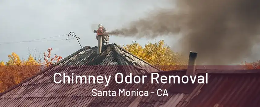 Chimney Odor Removal Santa Monica - CA