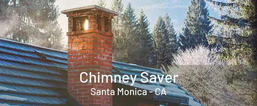 Chimney Saver Santa Monica - CA