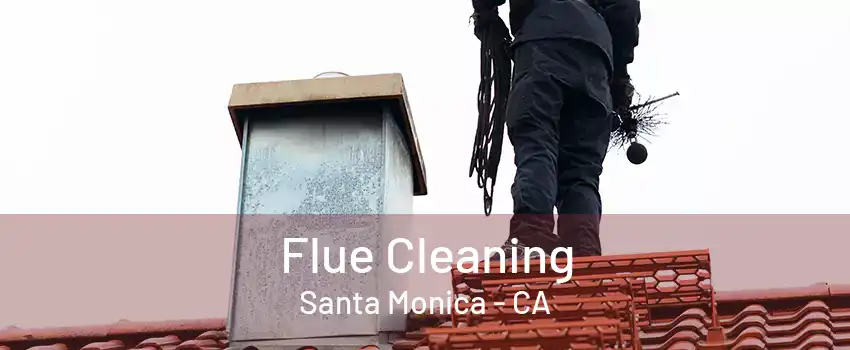 Flue Cleaning Santa Monica - CA