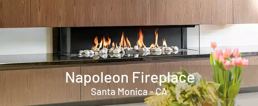 Napoleon Fireplace Santa Monica - CA